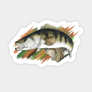 Zander Sticker